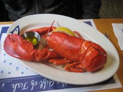 Maine Lobstah